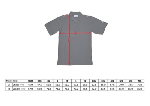 Picture of Domino's Men's Polo