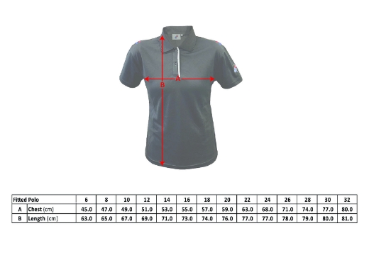 Picture of Domino's Fitted Reflective Polo